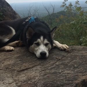 Meet your Posher, Jordan