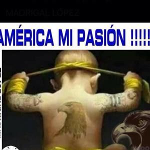 Meet your Posher, Moises