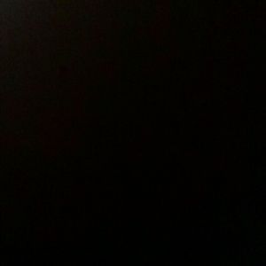 Meet your Posher, Darcy