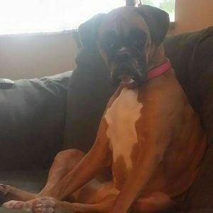 Meet your Posher, April