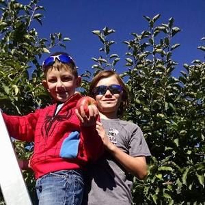 Meet your Posher, Colleen