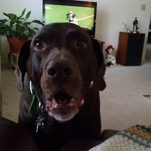 Meet your Posher, Paula