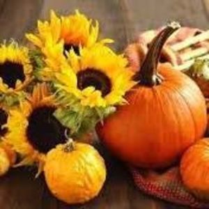 Meet your Posher, Lorrie