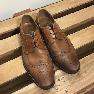 Brown wing tips