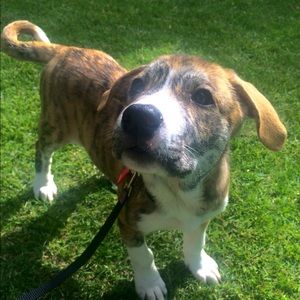 Meet your Posher, Lianna