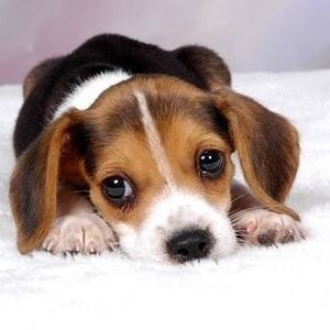 Meet your Posher, Deanna