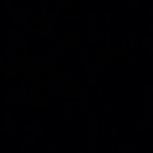 Meet your Posher, Chitia