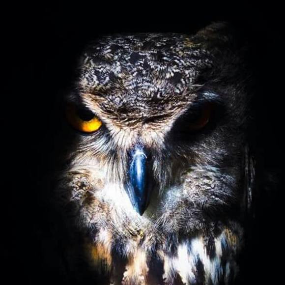 Meet your Posher, Laura - Picture 1 of 1