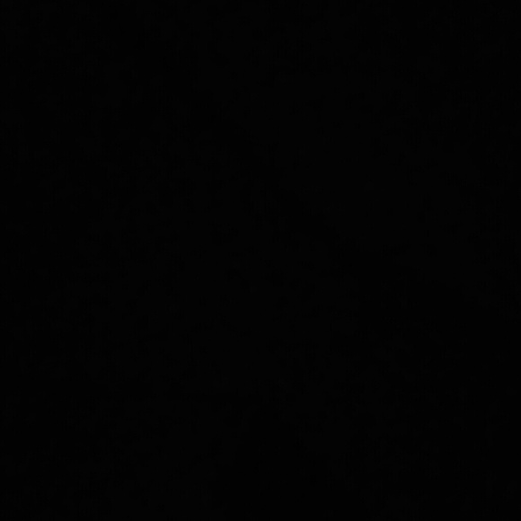 Meet your Posher, Lorenzo - Picture 1 of 1