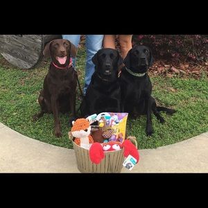 Meet your Posher, Julia