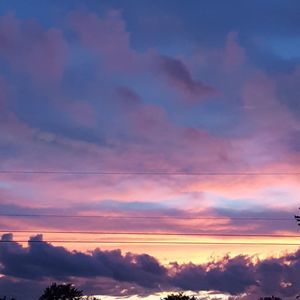 Meet your Posher, Dawn