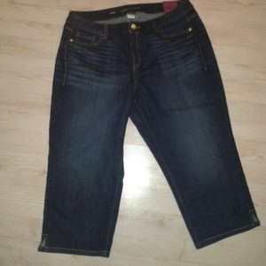 ⚡LAST PRICE DROP⚡Lane Bryant Capris