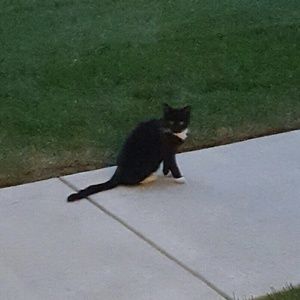 Meet your Posher, Kelli