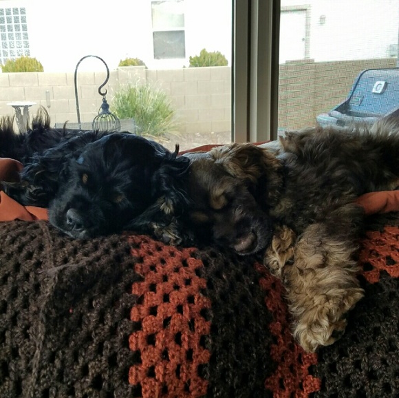 ⭐ LC's Closet ⭐ - Picture 2 of 7