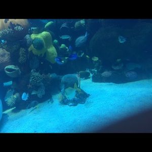 Meet your Posher, Lori