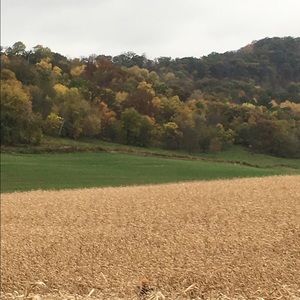 Meet your Posher, Kendall