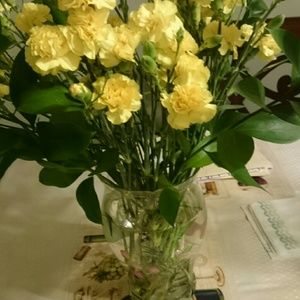 Meet your Posher, Senait