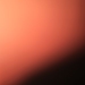 Meet your Posher, Suzanne