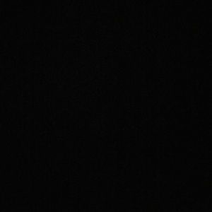 Meet your Posher, Frankie