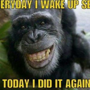 Meet your Posher, Kay