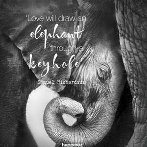 Meet your Posher, Romney