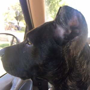 Meet your Posher, Christian