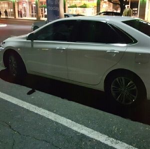 Meet your Posher, Sammy