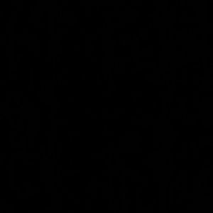 Meet your Posher, Iris