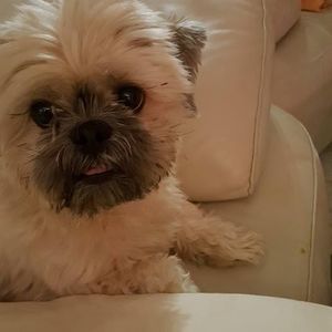 Meet your Posher, Clare