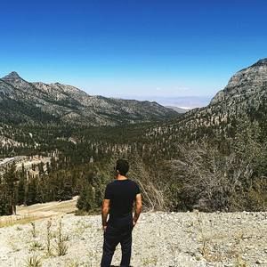 Meet your Posher, Zviel