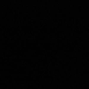 Meet your Posher, Dennise