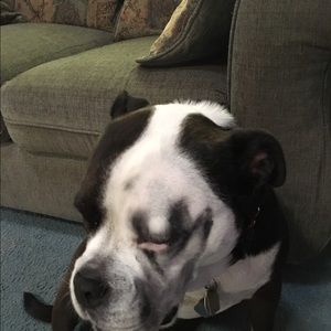 Meet your Posher, Richie