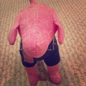 PINK Victoria's Secret dog 💗