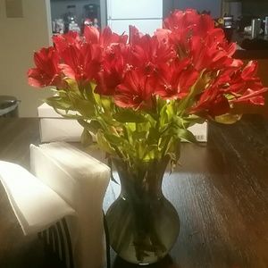 Meet your Posher, Traci