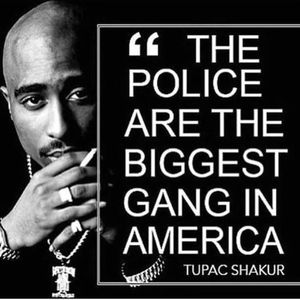 Meet your Posher, Octavia