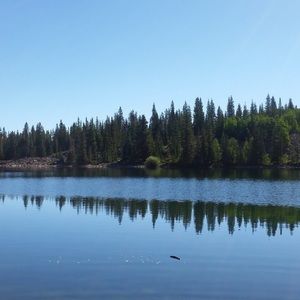 Meet your Posher, Krista