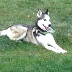 Meet your Posher, Joellen