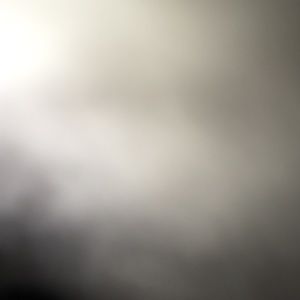 Meet your Posher, Honey