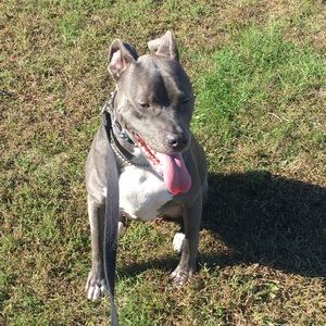 Meet your Posher, Storm