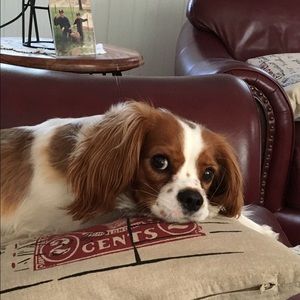 Meet your Posher, Jeanne