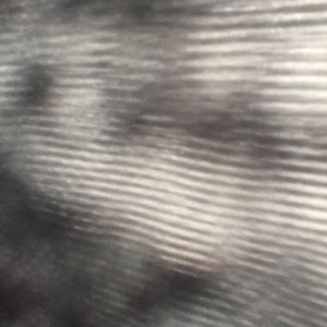 Meet your Posher, Jerelle