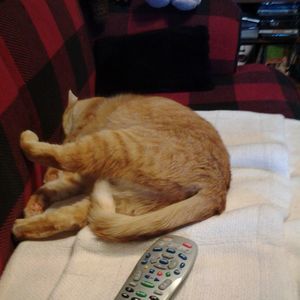 Meet your Posher, Lori