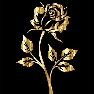 Meet your Posher, Adrian