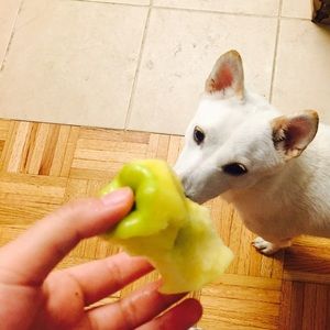 Meet your Posher, Le