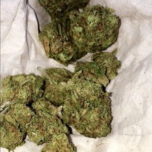 Meet your Posher, Jorge