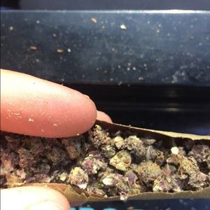 Meet your Posher, Favian.