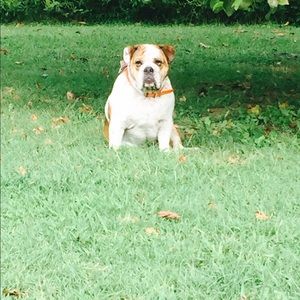 Meet your Posher, Laura