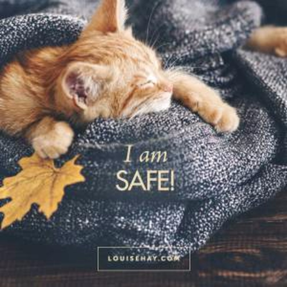 Meet your Posher, Dag