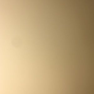 Meet your Posher, Daisy