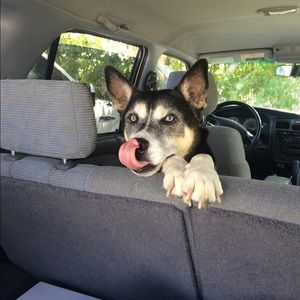 Meet your Posher, Erica